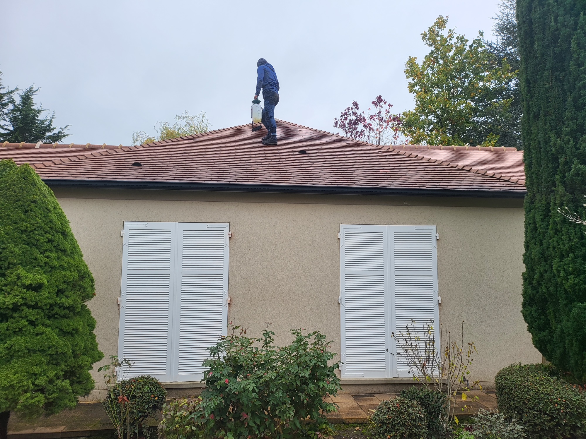 Démoussage et nettoyage toiture