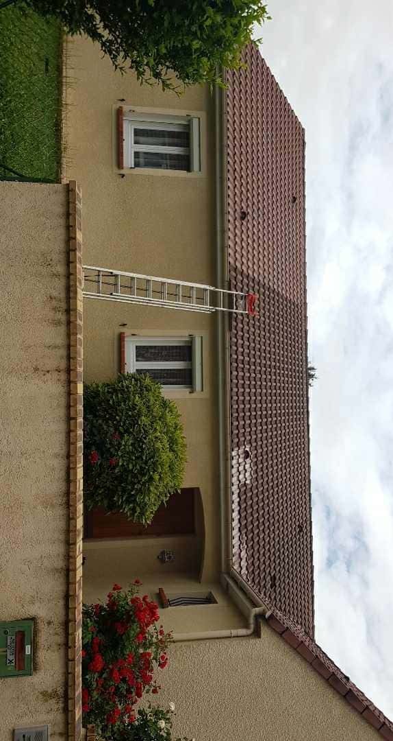 Demoussage toiture en tuile